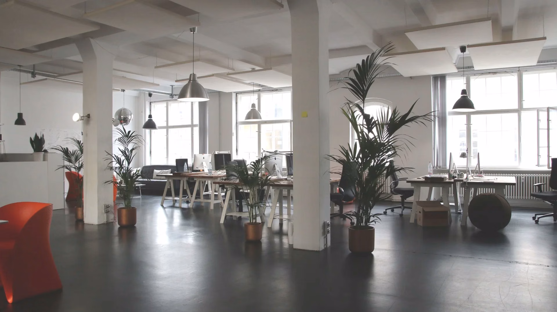 Modern open-plan commercial office with coordinated overhead lighting