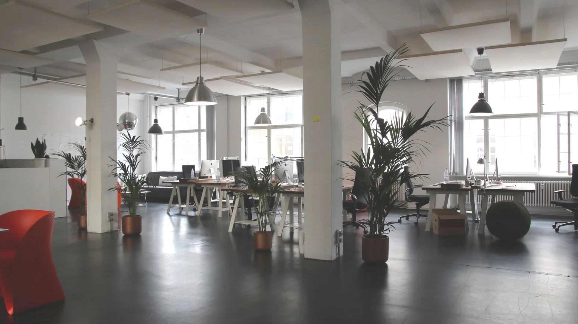 Modern open-plan commercial office with coordinated overhead lighting