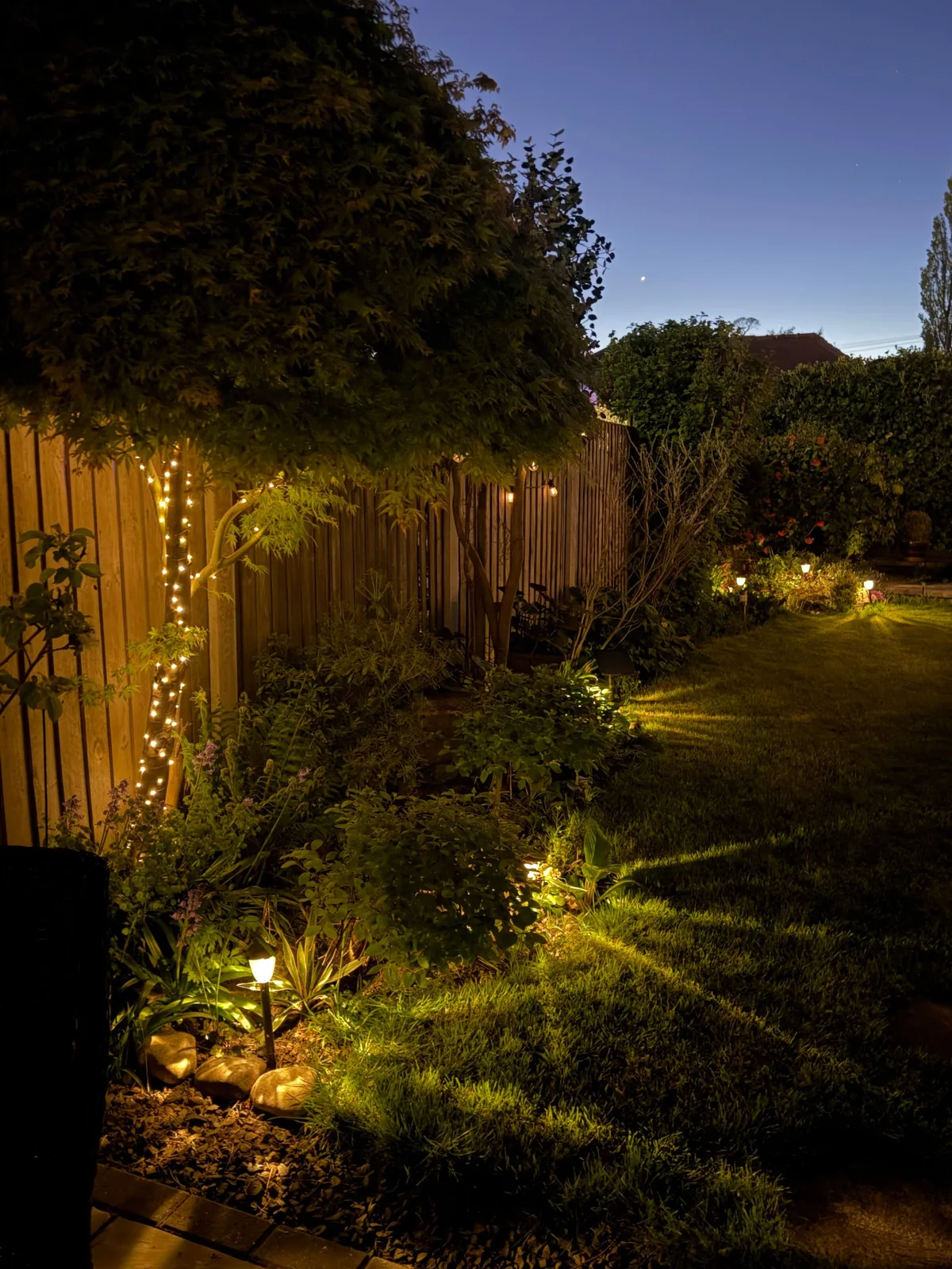 Illuminated exterior and garden after dark
